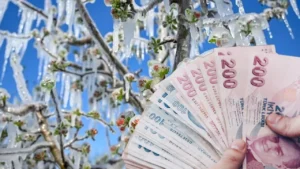 TBMM Zirai Don Meclis Araştırma Komisyonu, nisan ayında yaşanan zirai