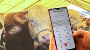Tarım ve Orman Bakanlığı’nın mobil uygulaması Tarım Cebimde sayesinde, vatandaşlar