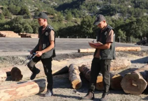 Tarım ve Orman Bakanlığı bünyesinde görev yapan orman muhafaza memuru,