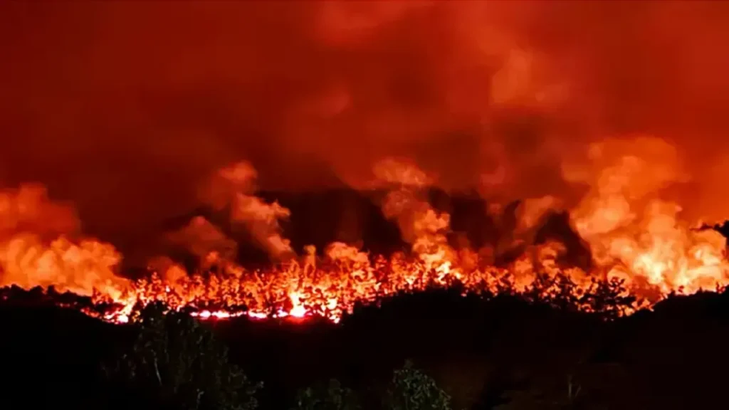 Orman Yangınları: 17 kişi gözaltına alındı 1 Orman Yangınları 17 kişi gözaltına alındı