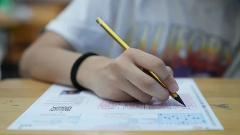 2025 LGS'de 719 öğrenci tam puan aldı, işte il il Türkiye birincileri 5 2025 lgs