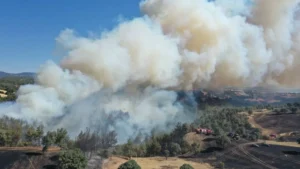 İzmir Çeşme ilçesinde tarım arazisinde başlayarak ormanlık alana sıçrayan yangın