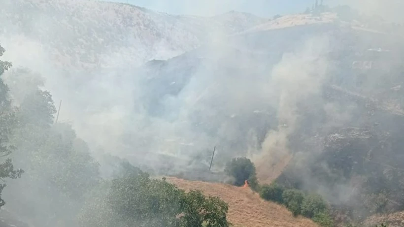 İzmir'in 2 ilçesinde orman yangınlarına havadan ve karadan yoğun müdahale sürüyor 1 İzmir'in 2 ilçesinde orman yangınlarına havadan