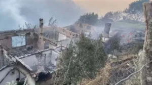 İzmir’in Ödemiş ilçesinde çıkan orman yangını ikinci gününde devam ederken,