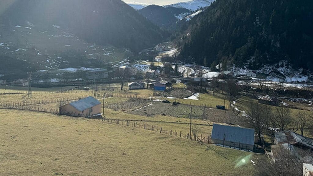 Giresun Kümbet Yaylası’nda Silahlı Yayla Kavgası: 3 Ölü, 1 Yaralı 1 giresun yayla kavgası
