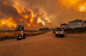 Türkiye’nin üç önemli ilinde İzmir, Manisa ve Hatay’da çıkan orman