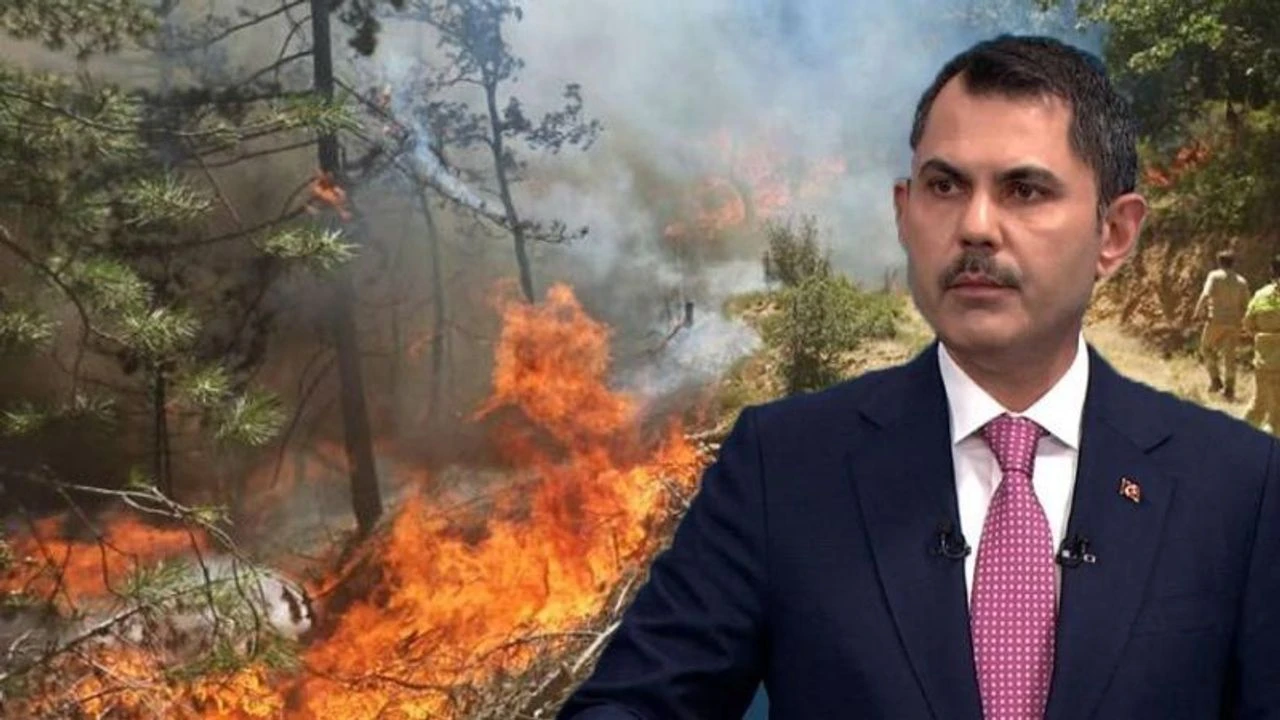 Orman yangınları bilançosu açıklandı 1 orman yangınları bilanço