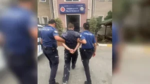 İstanbul Başakşehir’de bir kişi, sokaktaki kediyi apartmana sokarak acımasızca öldürdü.