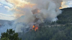 Karabük merkeze bağlı Arıcak köyü mevkisindeki ormanlık alanda çıkan yangın
