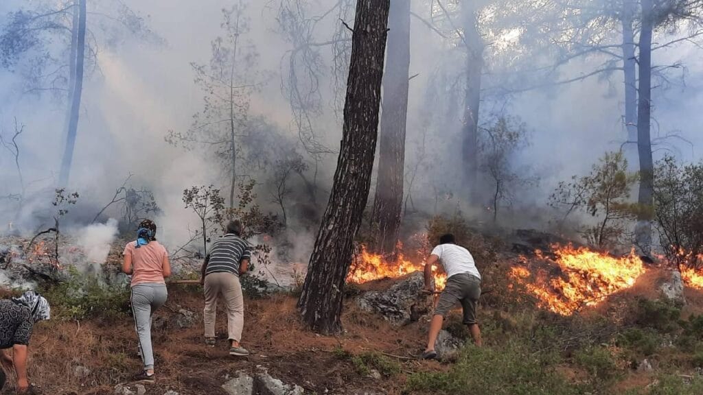 Muğla Seydikemer’de Orman Yangını 1 muğla orman yangını
